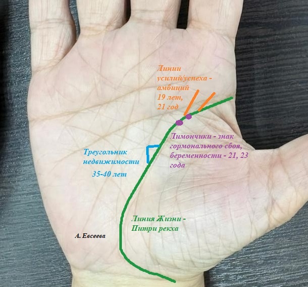 Из личного рабочего архива.