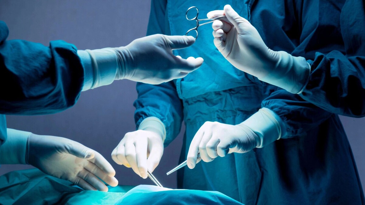    Фото: Gumpanat/Shutterstock/Fotodom