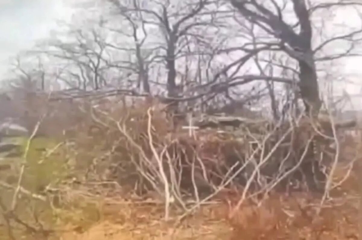    Появились кадры поражения замаскированного танка ВСУ в Запорожской области