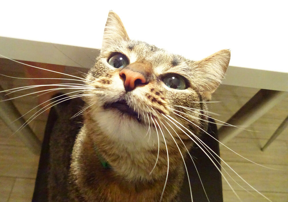 Мокрое и щекотное