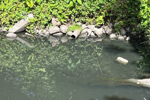   Фото: телеграм-канал региональной прокуратуры