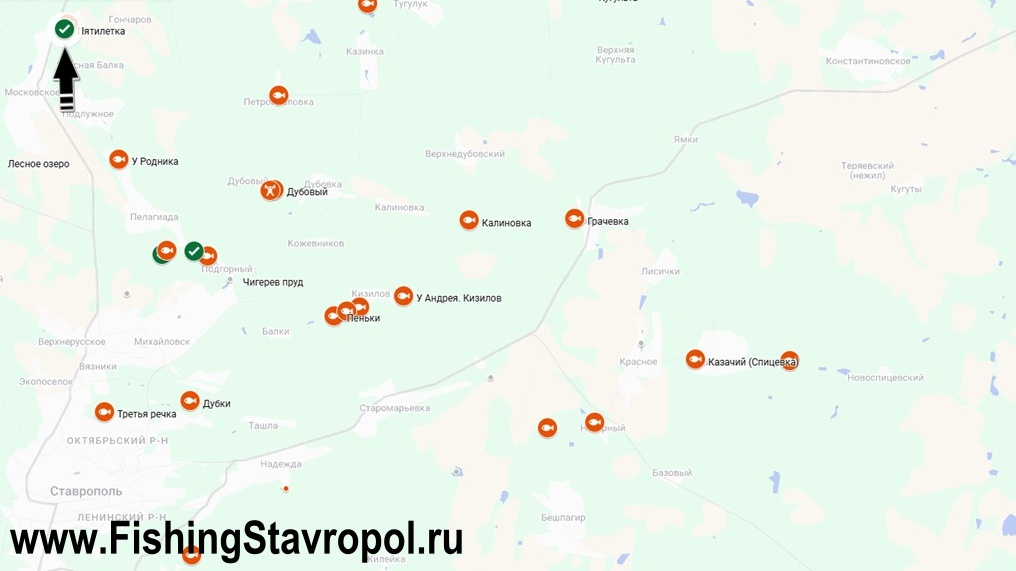 Платная рыбалка, водоем "Пятилетка"