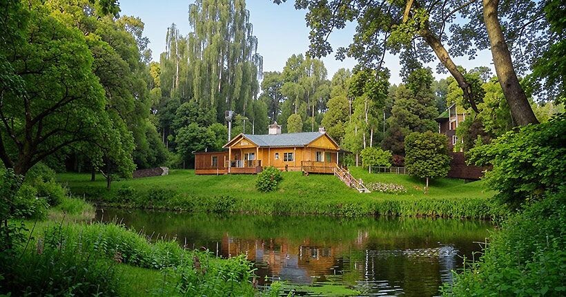 Фото из открытых источников