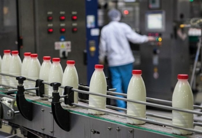 Производство молока (Фото: Сергей Коньков/ТАСС)