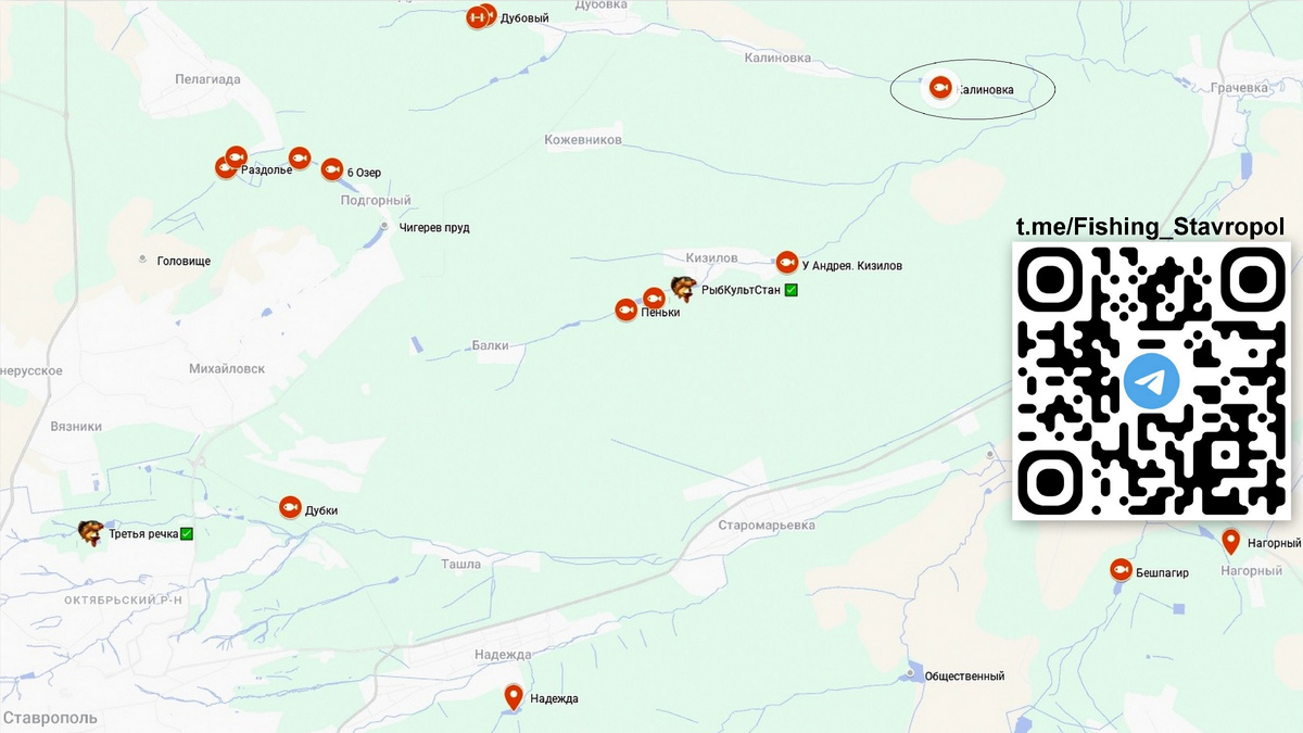 Платная рыбалка, водоем "Калиновка"