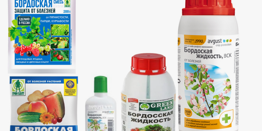 Научитесь правильно разводить Бордосскую жидкость