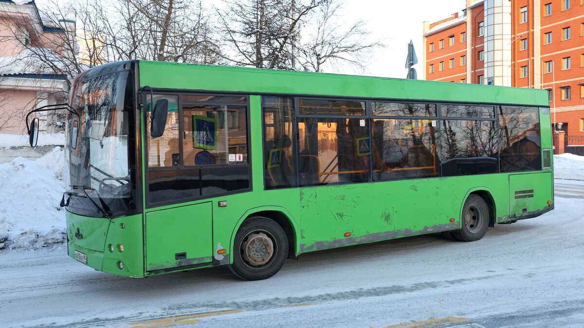    Фото: Андрей Ткачев/«Ямал-Медиа»
