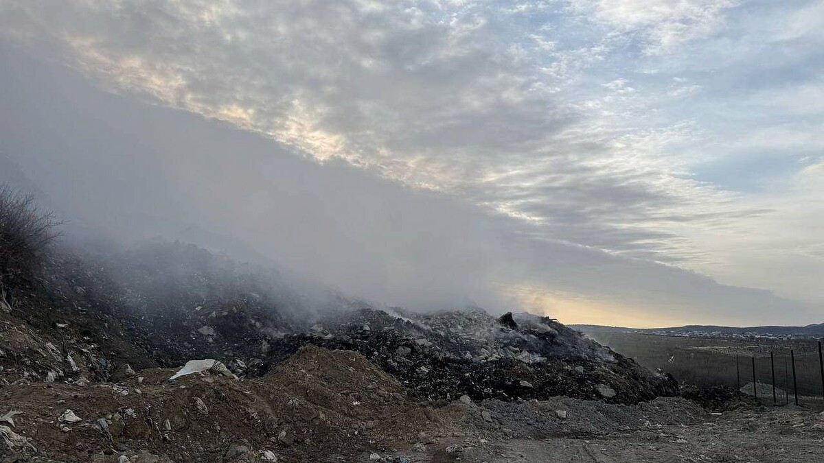    Фото: пресс-служба администрации Новороссийска