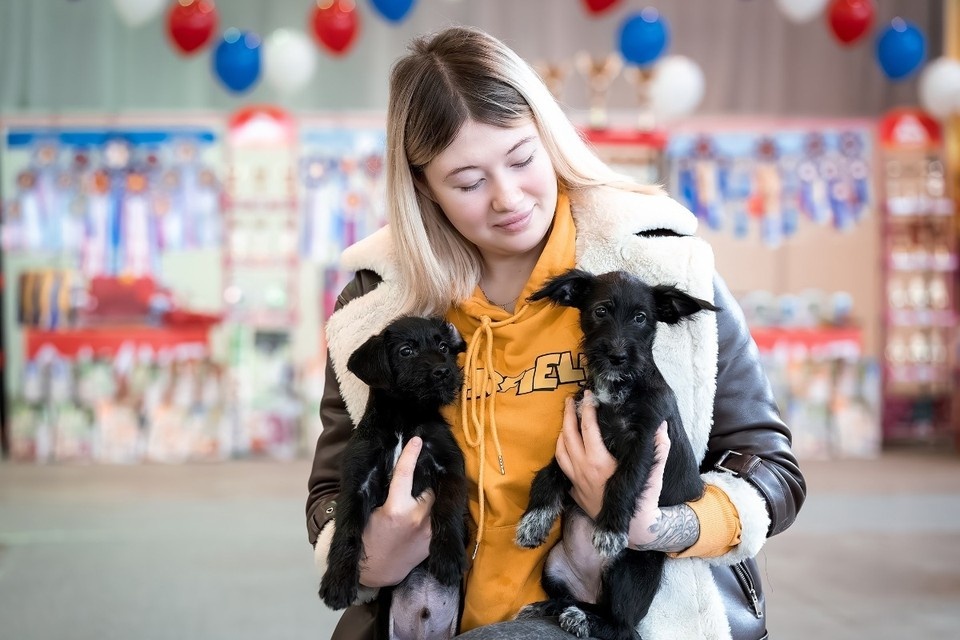    Щенки быстро адаптировались в своем временном доме. Фото: Анна Нижарадзе.