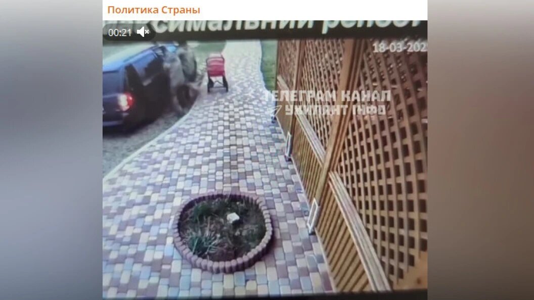    ФОТО: телеграм-канал "Политика Страны"