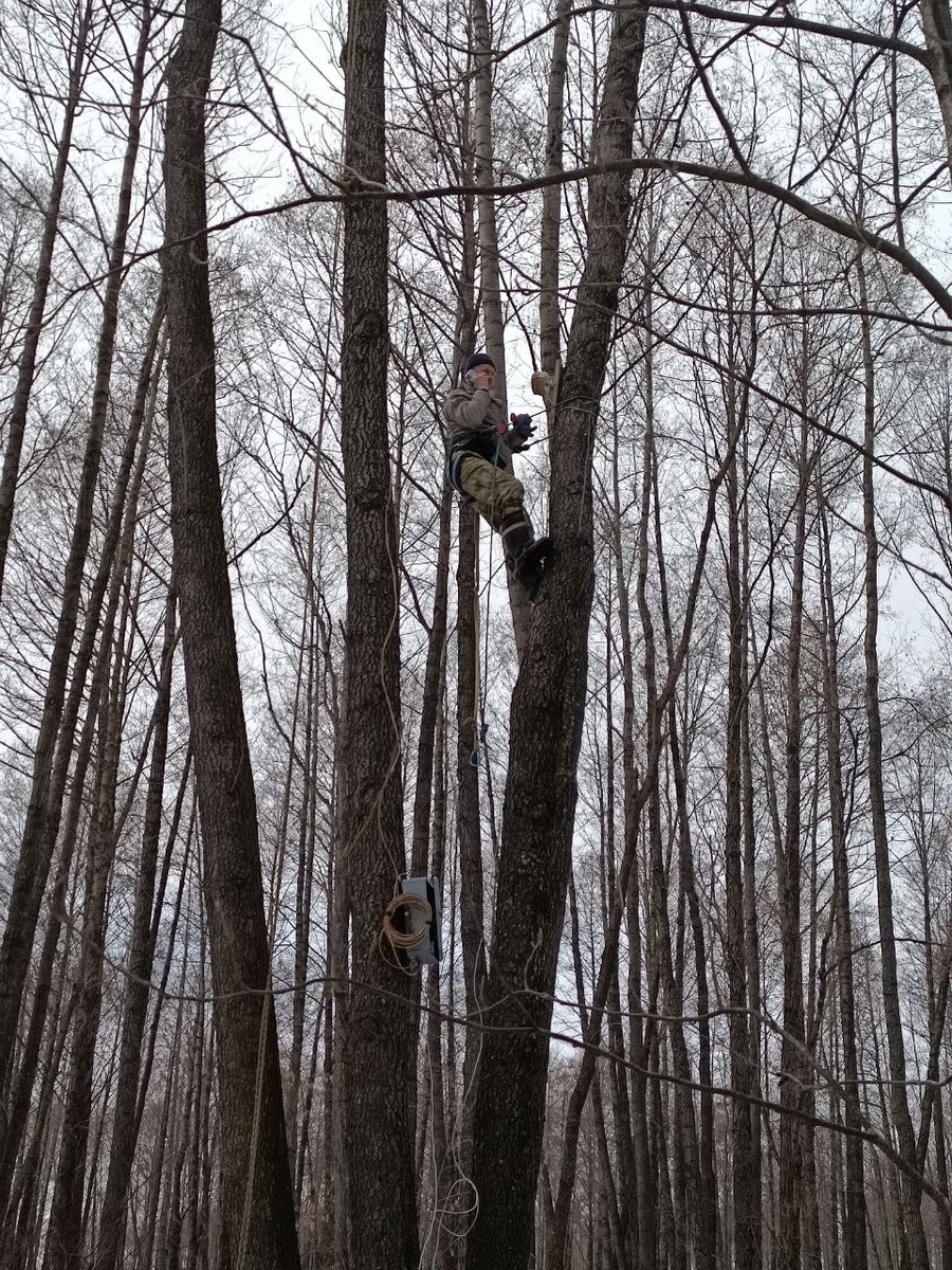 Установка камеры в 2025 году