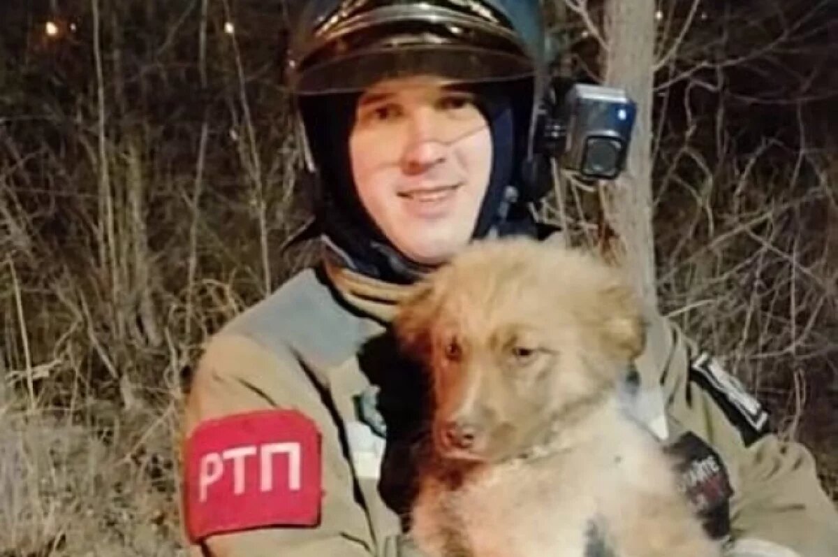    В Приморье пожарные нашли нового «бойца отряда» в заброшенном колодце