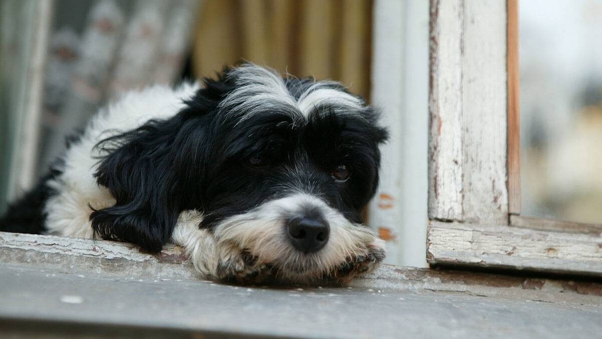    Фото: Владимир Смоляков / Вечерняя Москва