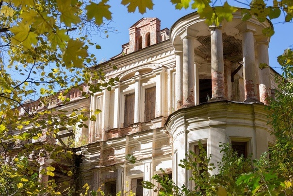 Яндекс. Картинки  