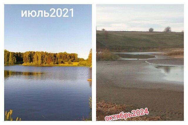    Озеро Любимово в Осташатах. Фото:  Коллаж АиФ/ Фото из личного архива Алёны Колывановой