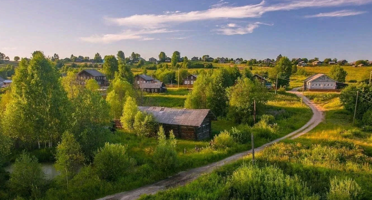 Яндекс картинки