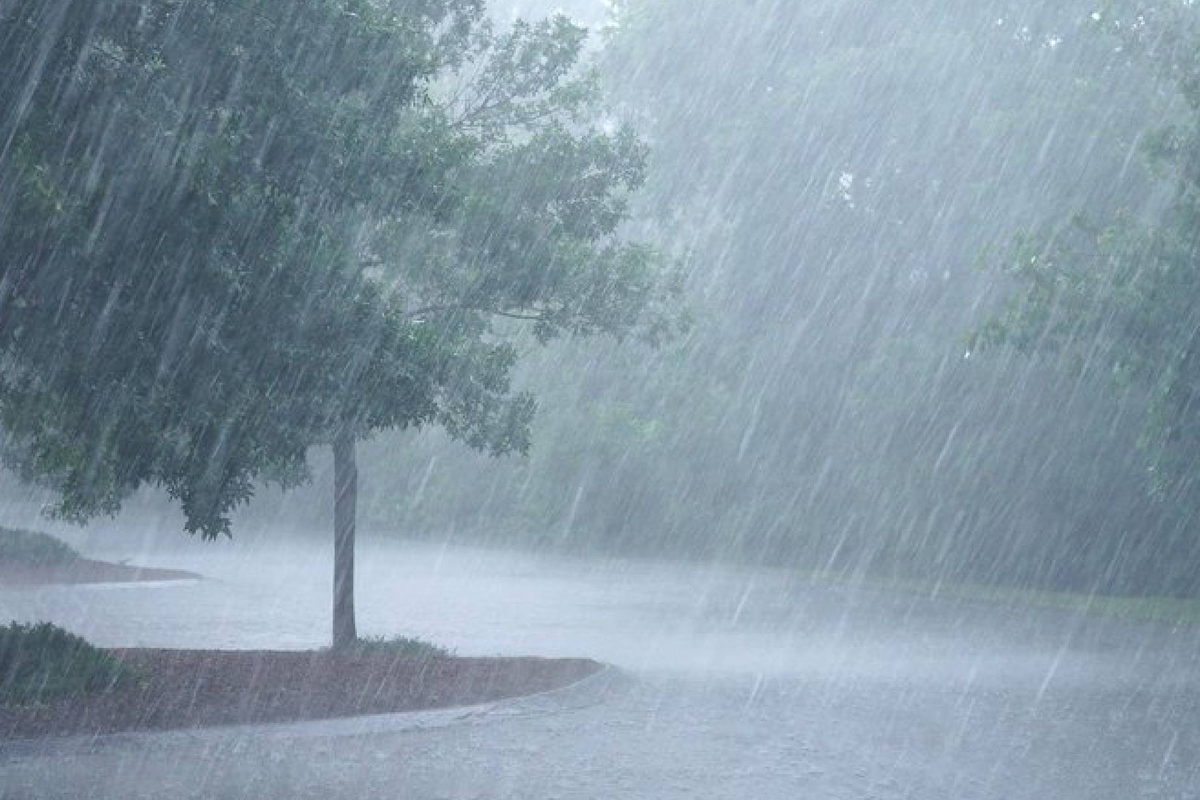 Из открытого источника