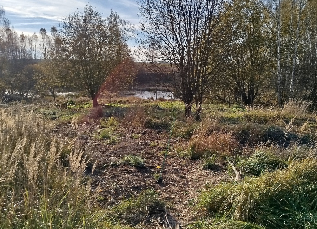 Дерново-подзолистые почвы в Нижегородской области 