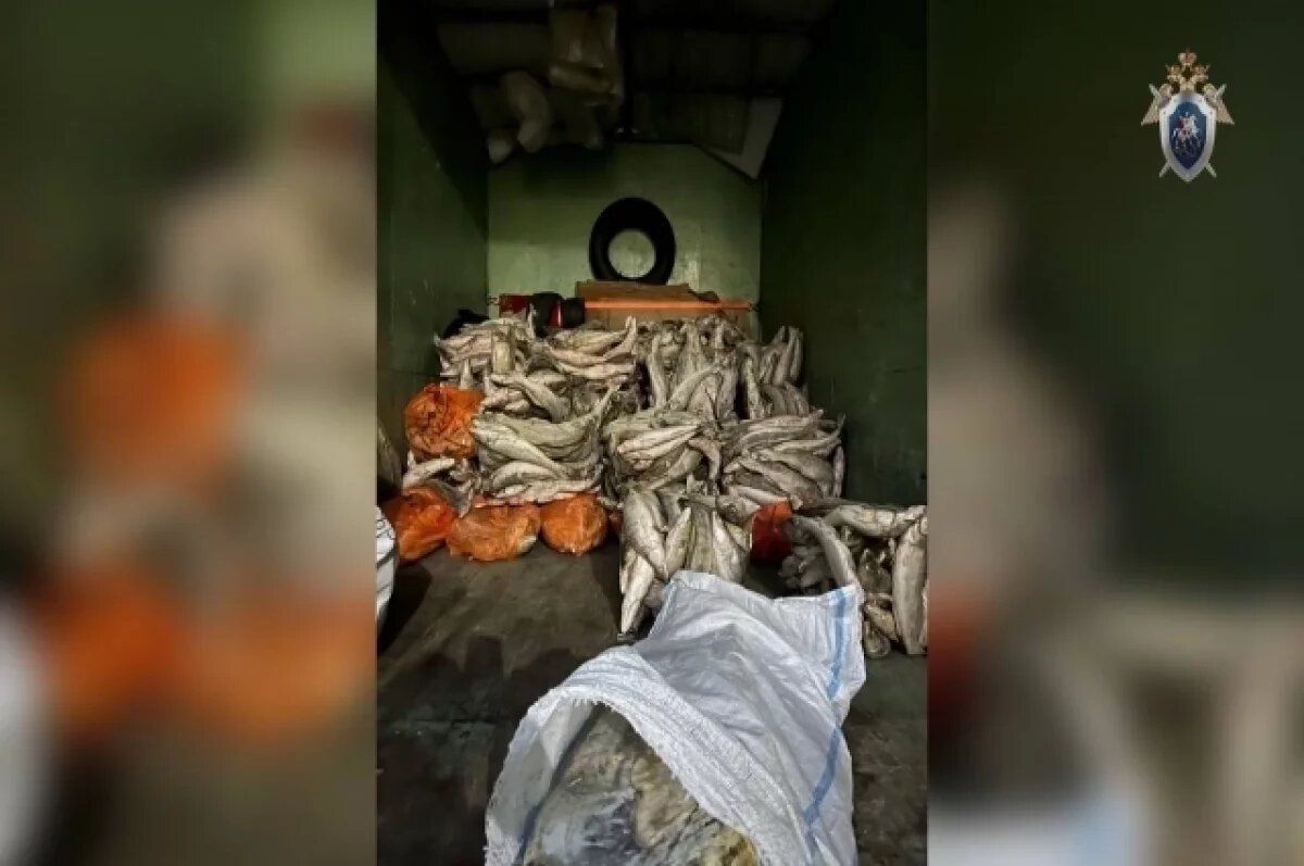    Астраханский предприниматель ответит в суде за хранение 9 тонн опасной рыбы