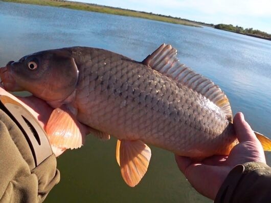    //Фото с сайта www.youtube.com