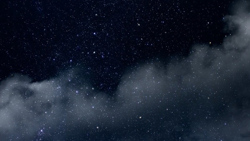 Фото: @savvapanf / freepik.com