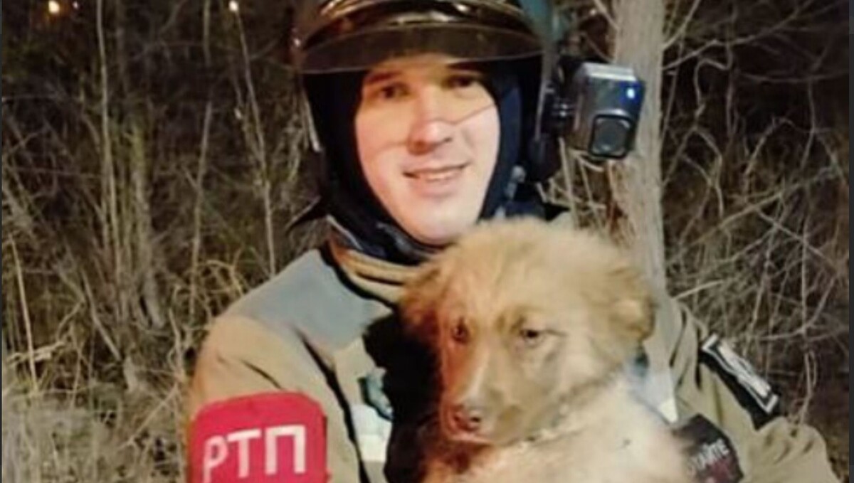     Источник: mchs_vdk