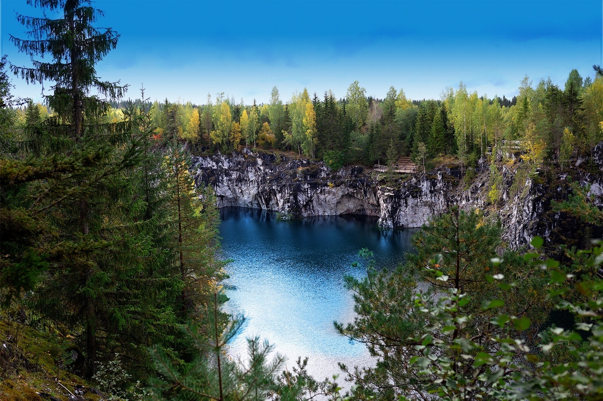 Путешествие через вкусовые и ароматические ландшафты Карелии