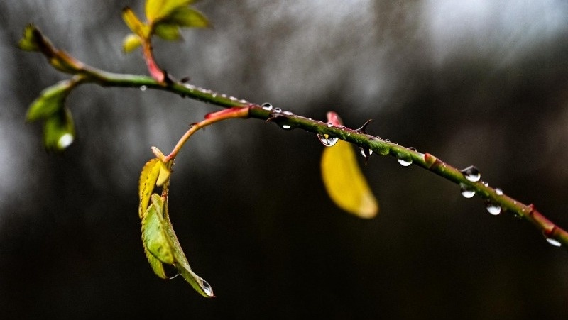 Фото: @EyeEm / freepik.com