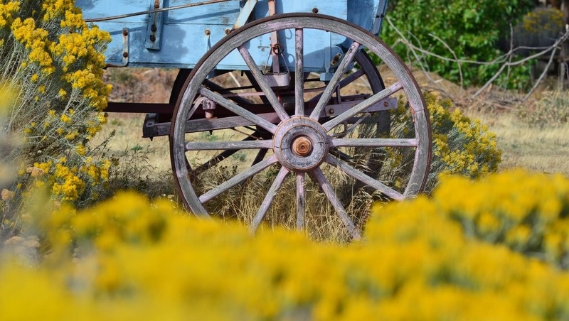 Фото: @EyeEm / freepik.com
