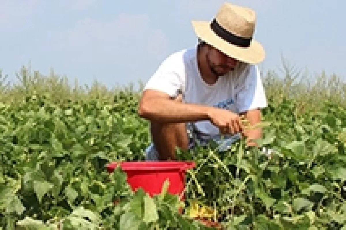    Пять уникальных вакансий назвали волгоградцам