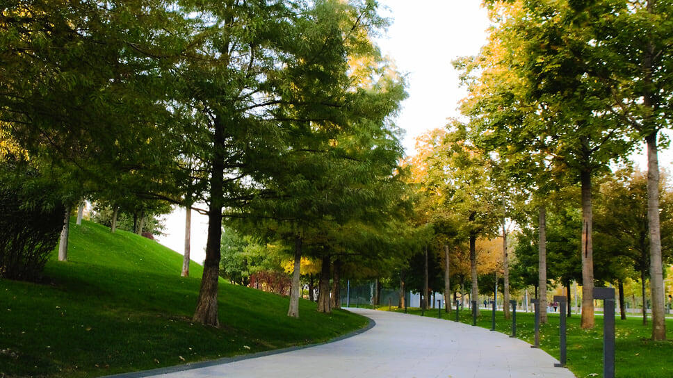 Фото: Маргарита Синкевич