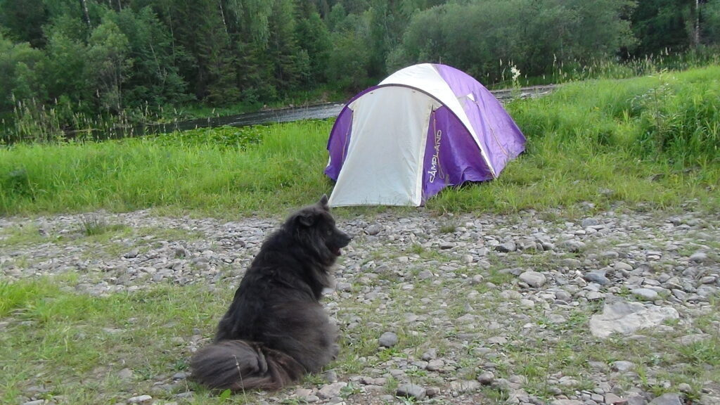    Фото: Ульяна Бажанова Ульяна Бажанова