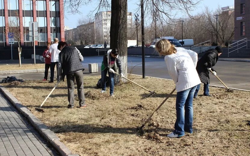    Опрос IZHLIFE: лишь 4% жителей Ижевска готовы добровольно участвовать в общегородских в субботниках