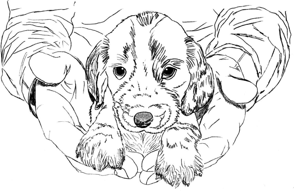 Рисунок автора