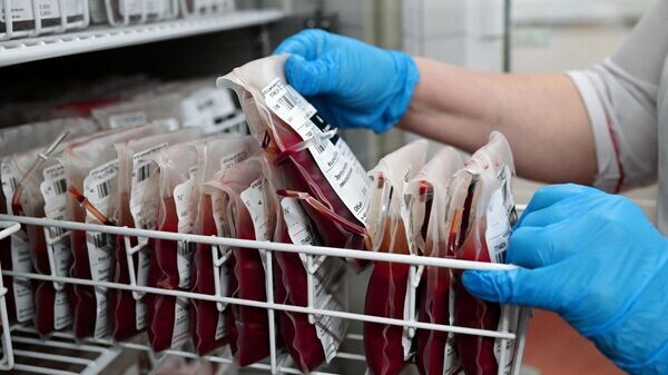    © Sputnik / Алексей Майшев