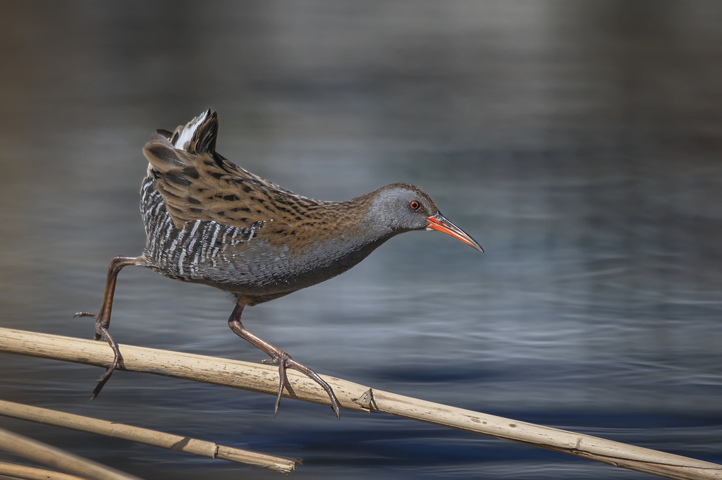 Краснодарский край, фото Светланы Медведевой
