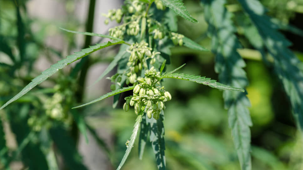 Фото: Олег Харсеев / Коммерсантъ