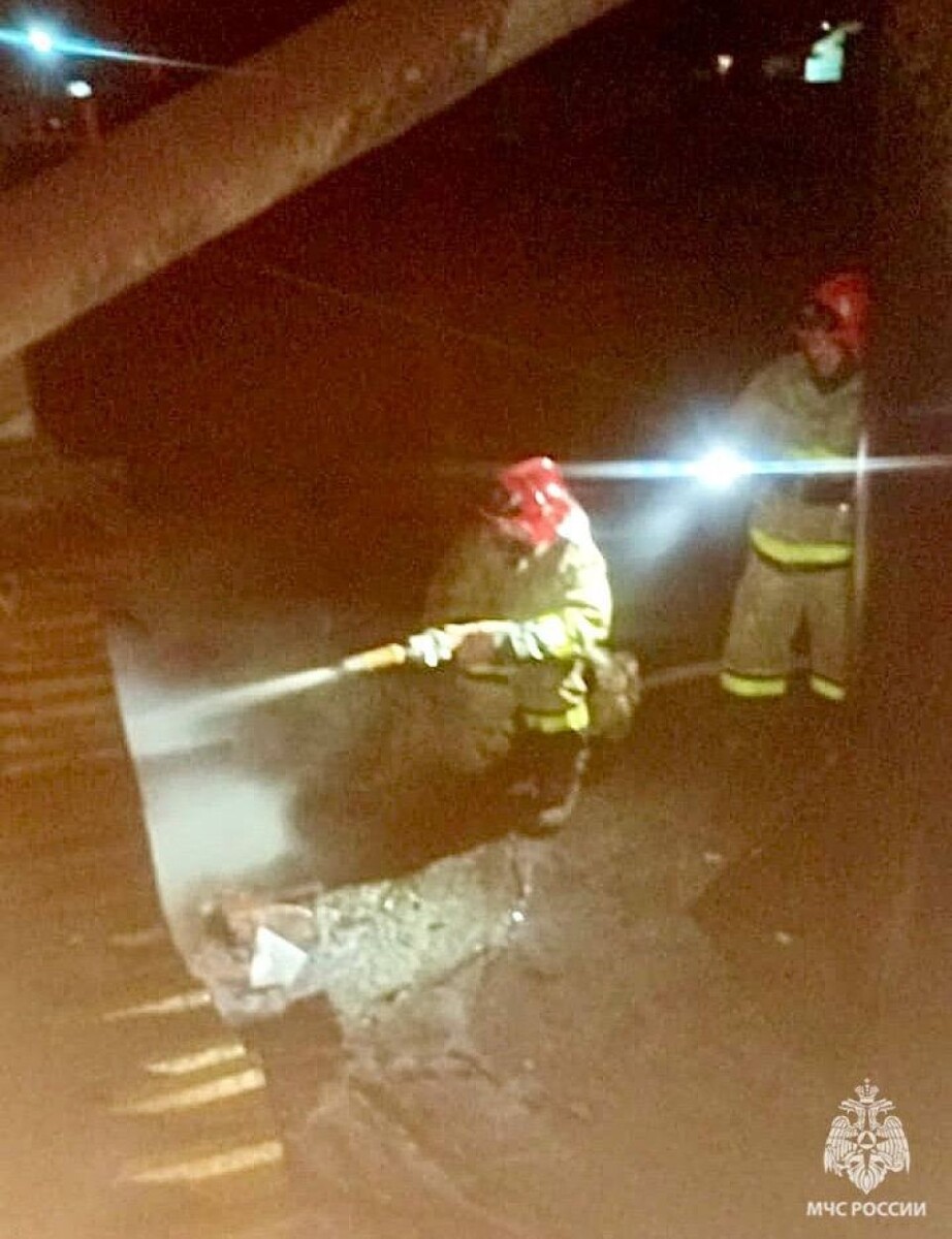    Пожар в селе Улаган. Источник: ГУ МЧС России по Республике Алтай