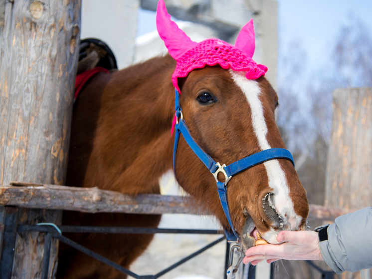     Фото: Людмила Ковалева (из архива "Южноуральской панорамы")