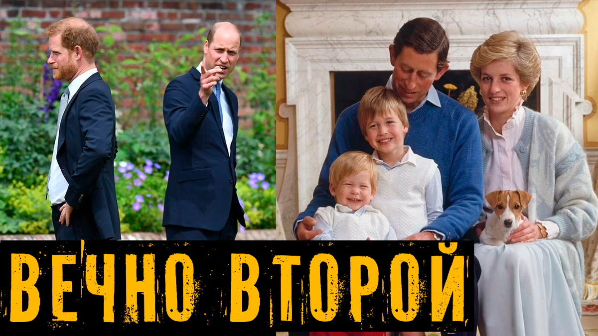 Коллаж автора