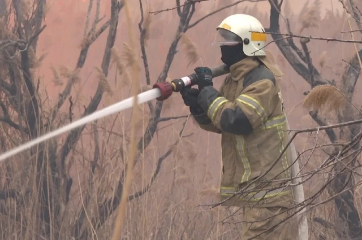    Под Волгоградом вспыхнул уличный туалет