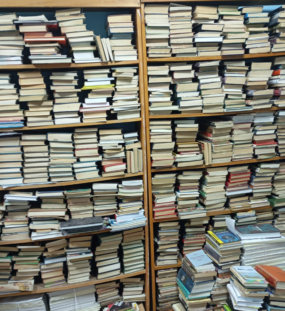 Фотография автора