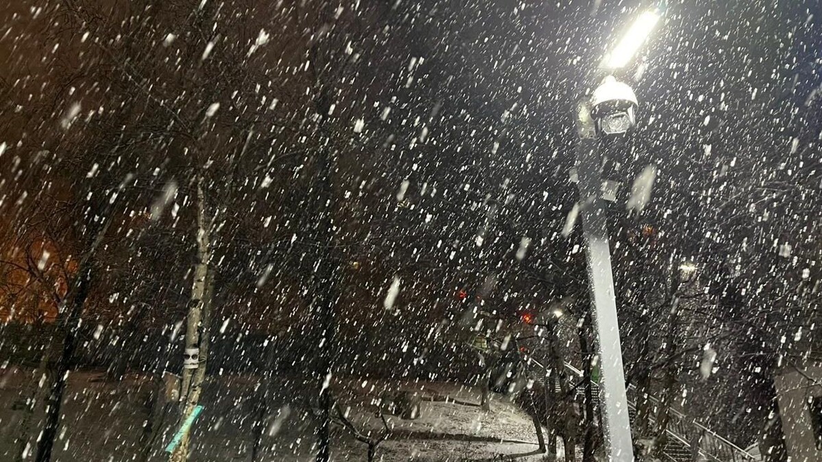     Источник: vostokmedia.com