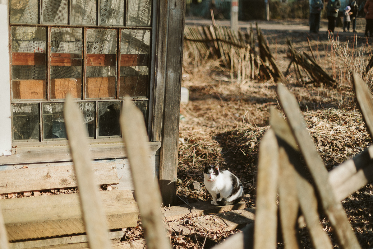 Сергиев Посад, Красюковка, фотограф Анастасия Донченко, 23.03.2025