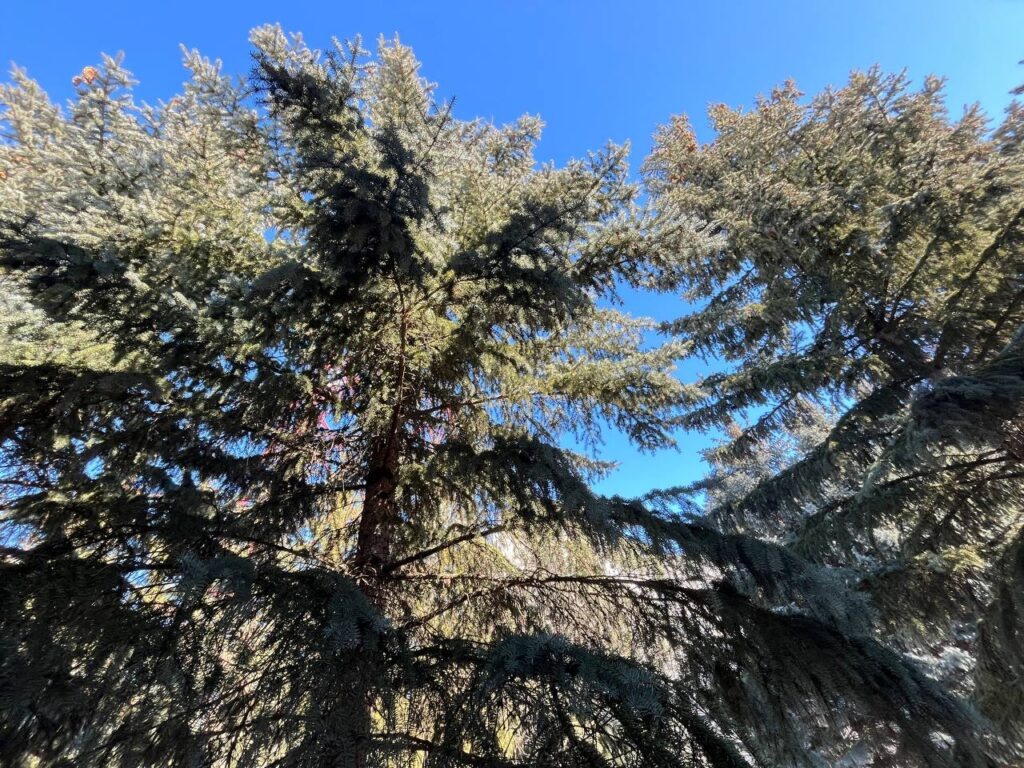    Фото: Екатерины Устькачкинцевой Ульяна Бажанова