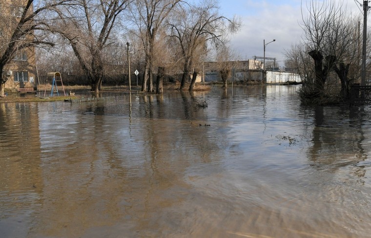    Сергей Никифоров/NEWS.ru