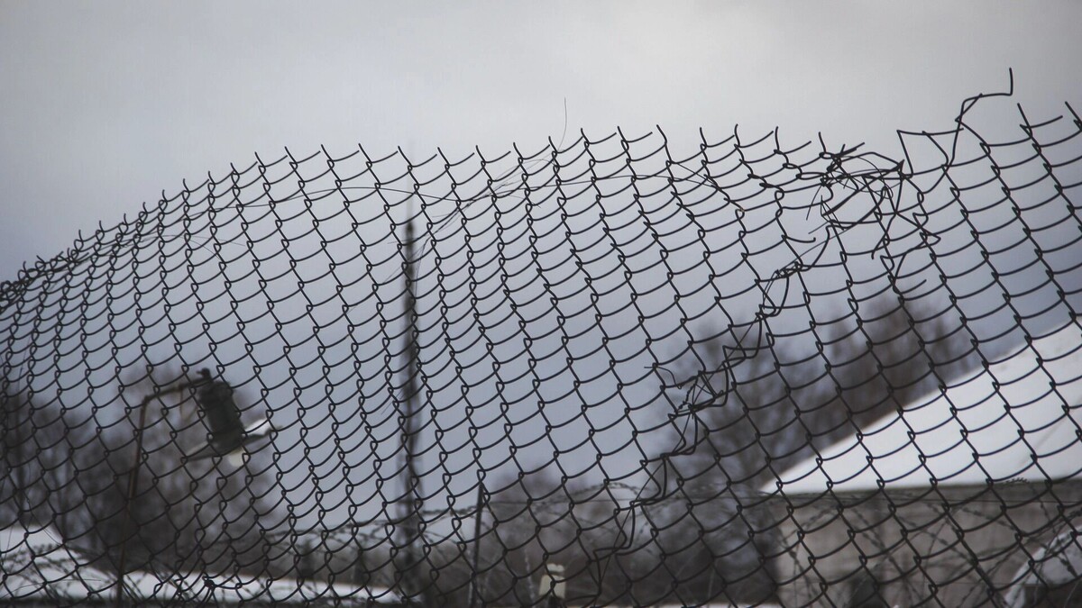     Источник: 1MI