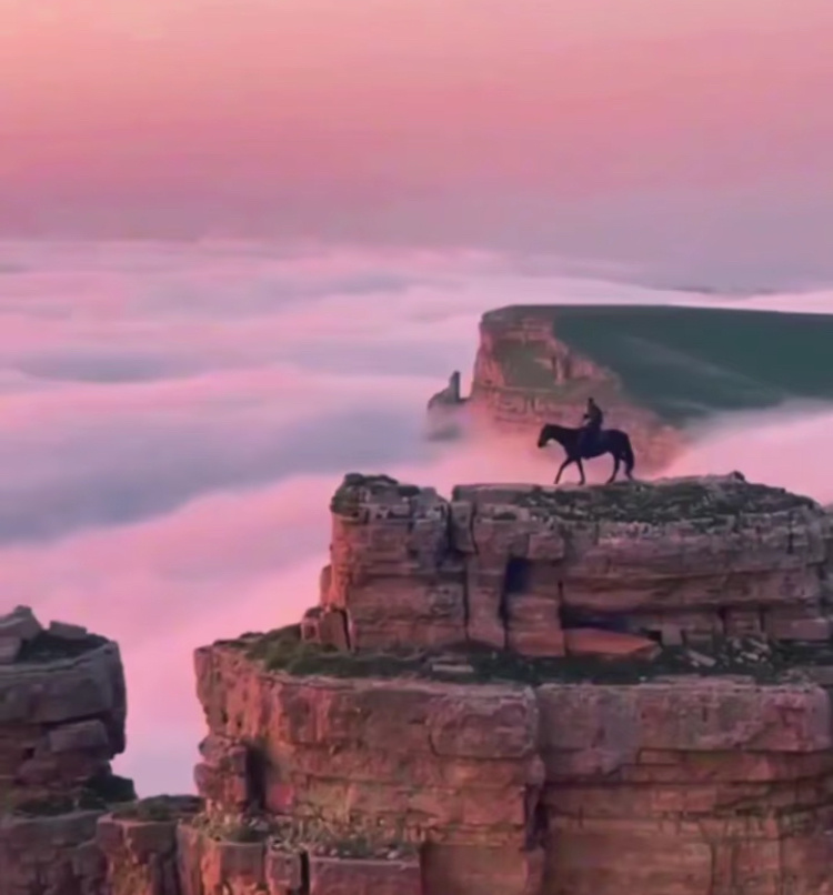 Рассказы и истории 