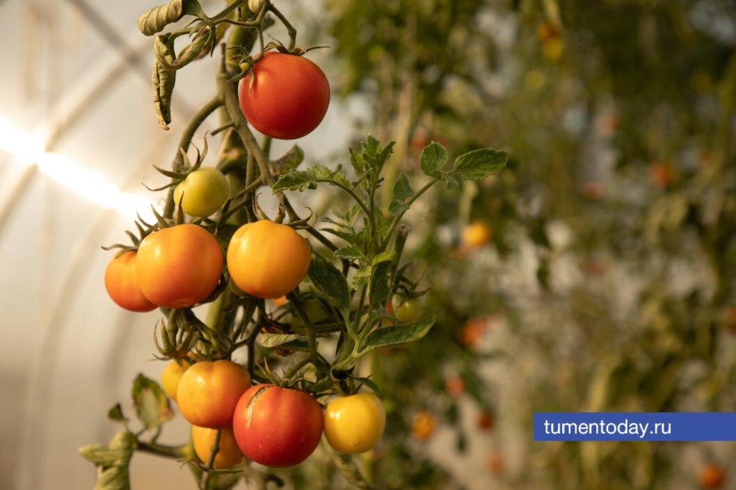 Фото Сергея Куликова