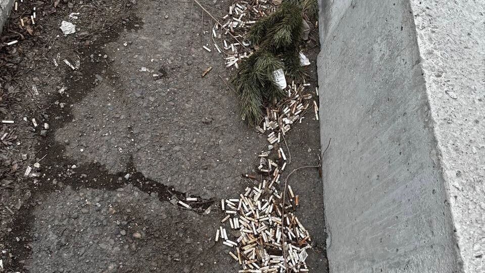     Источник: t.me/verhushina